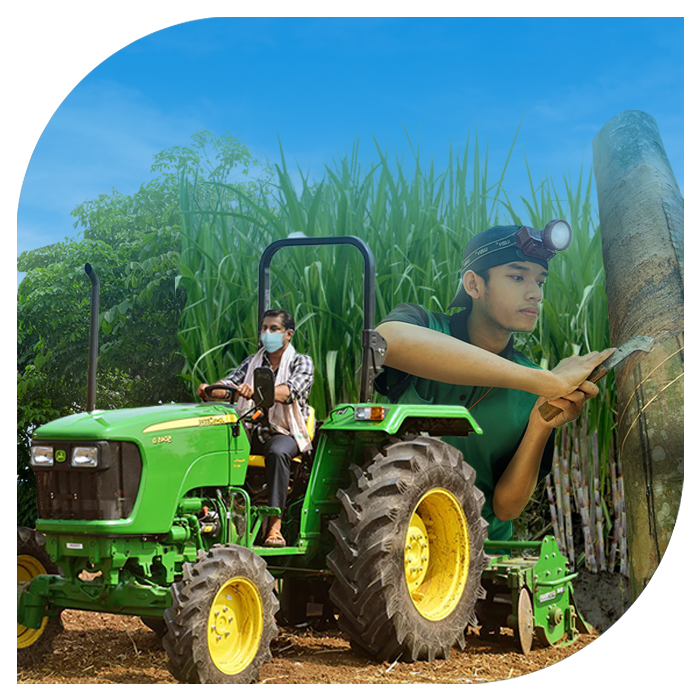 icon_regional